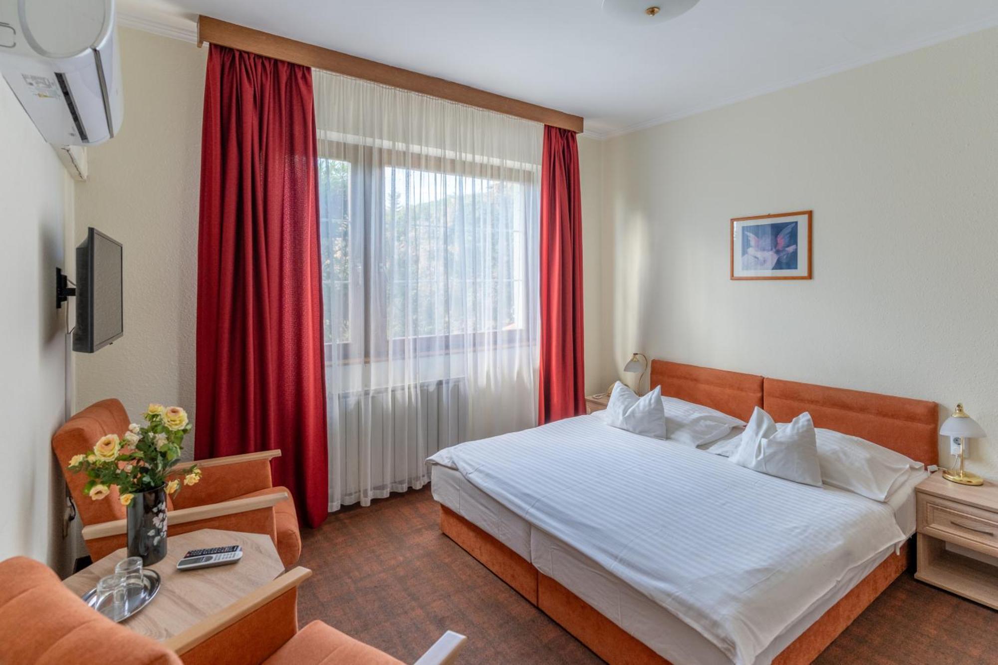 Superior Single Room,1742607776:JPEG