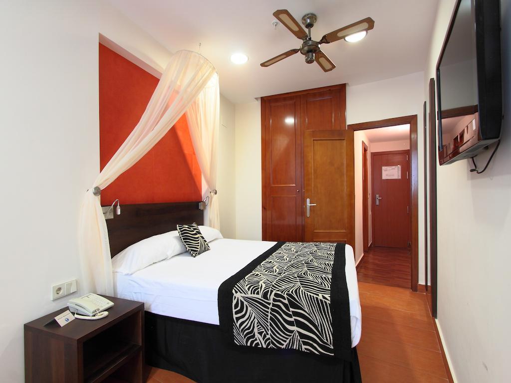 Chambre Simple (1 Adulte)