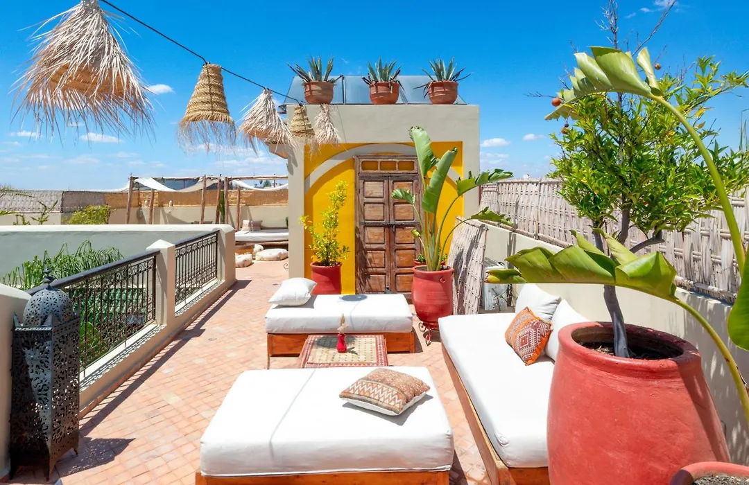 Riad Dar Alif & Spa-1