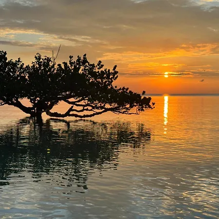 Mangrove Lodge-2