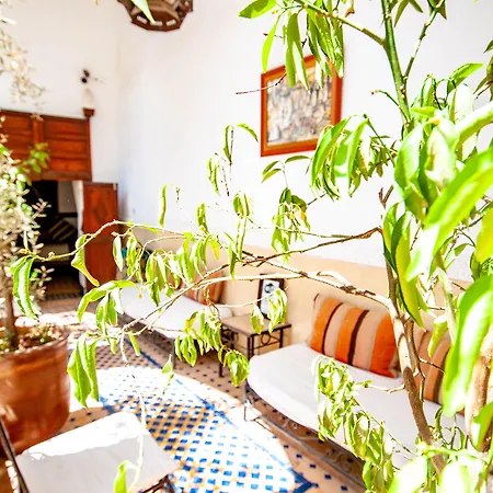 Hotel & Spa Riad Dar El Aila-3