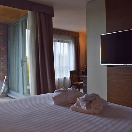 Absolute Hotel Limerick-2
