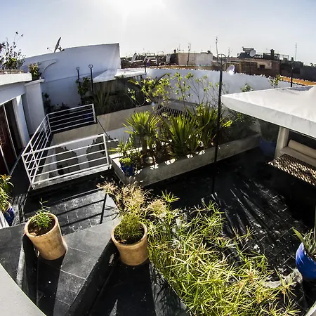 Riad Thalge-3