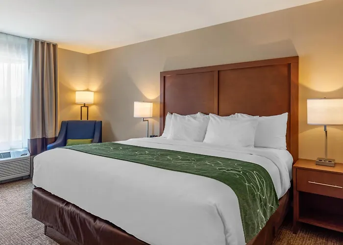 Comfort Inn & Suites Schenectady - Scotia