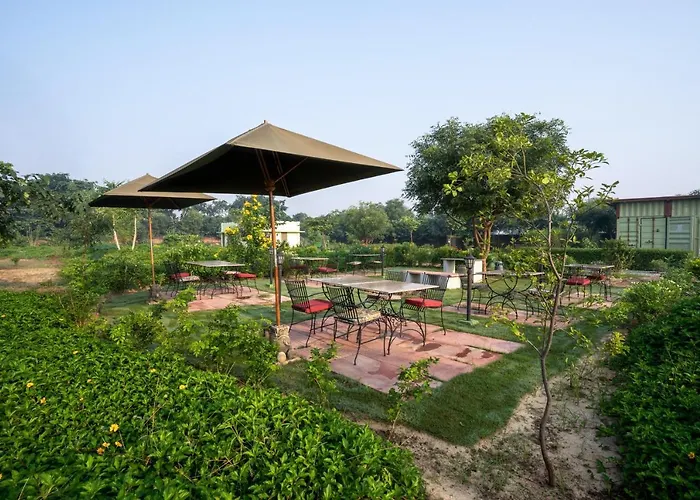 Tree Of Life Ecotainers Agra