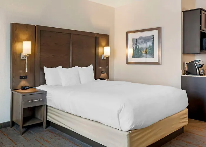 Comfort Inn & Suites Brighton Denver Ne Medical Center