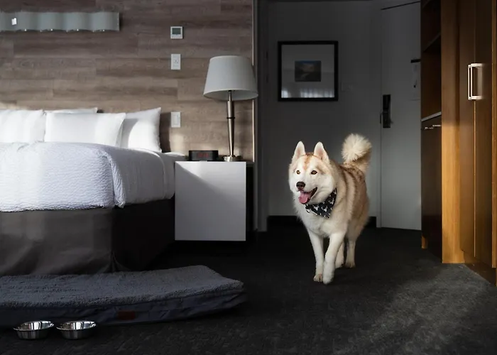 Elk + Avenue Hotel