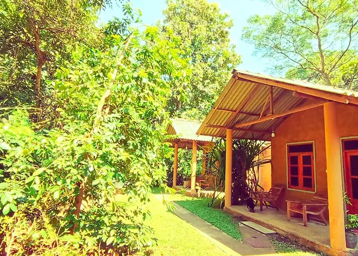 Monkey Jungle Cottage