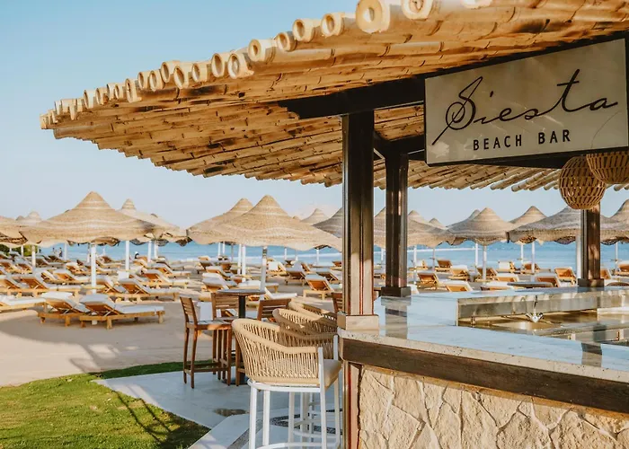 Baron Palms Adults Friendly Only 16 Years Plus Boutique Hotel Style