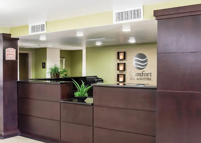 Comfort Inn & Suites St Pete - Clearwater International Airport