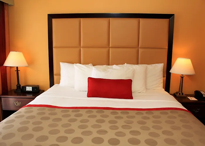Delta Hotels By Marriott Denver Thornton
