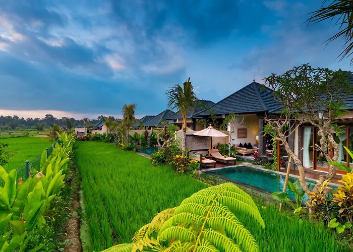 Bliss Ubud Spa Resort
