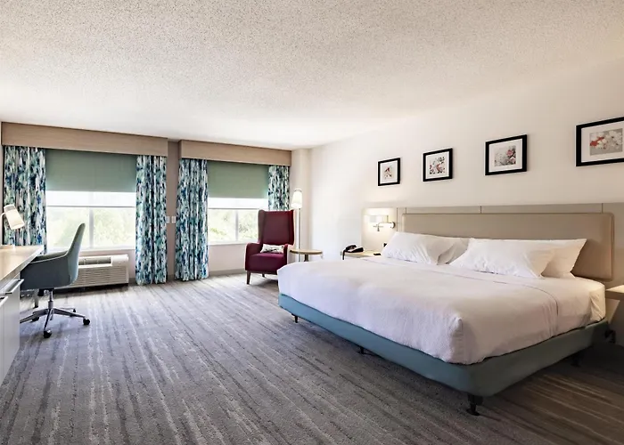 Hilton Garden Inn Albany