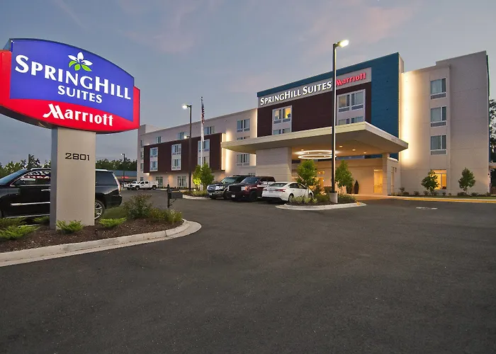 Springhill Suites By Marriott Baton Rouge Gonzales