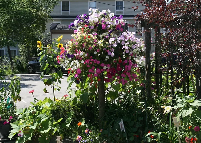 Camden Riverhouse Hotel And Inn