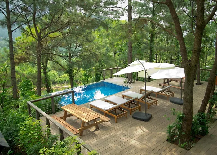 Amaya Retreat