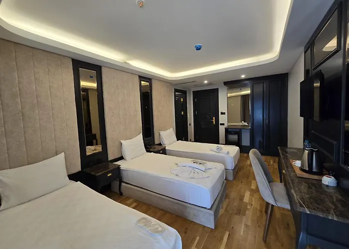 Dodo Hotel Spa Old City Istambul
