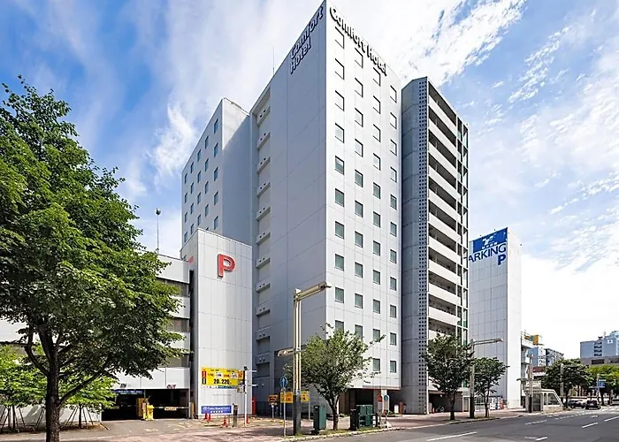 Comfort Hotel Sapporo Susukino
