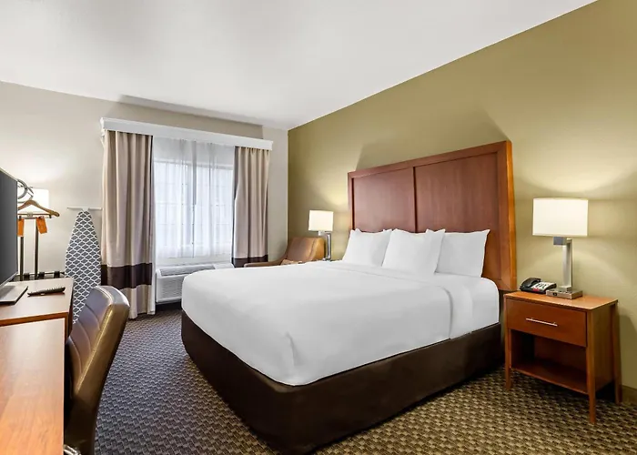 Comfort Inn & Suites Midtown