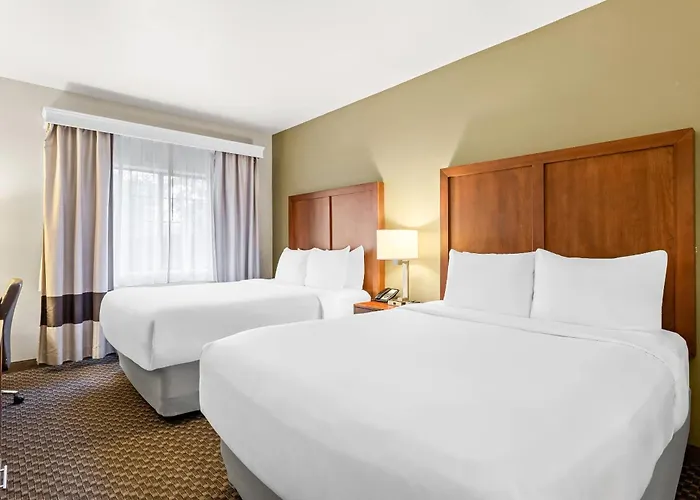 Comfort Inn & Suites Midtown