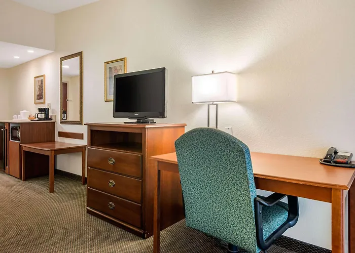 Quality Inn & Suites Tarpon Springs South