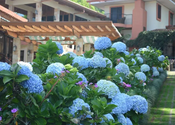 Finca Paraiso Mountain Retreat Near San Jose Airport