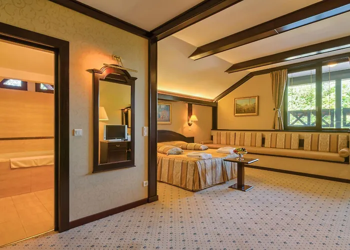 Hotel Snagov Club